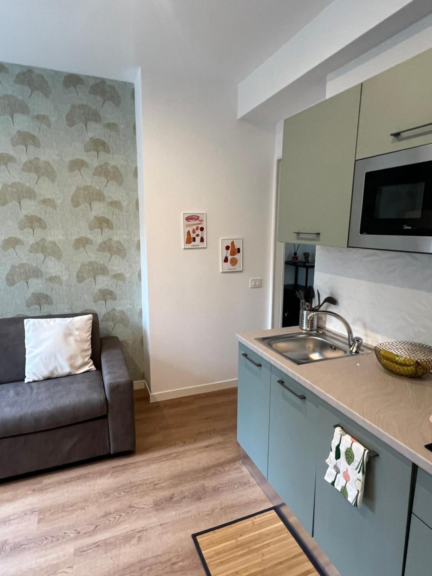 Apartment Domus Flaminiae *